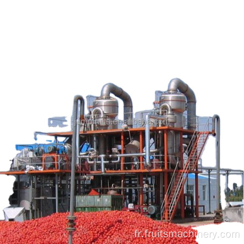 machine à tomates en conserve clé en main avec nouveau design